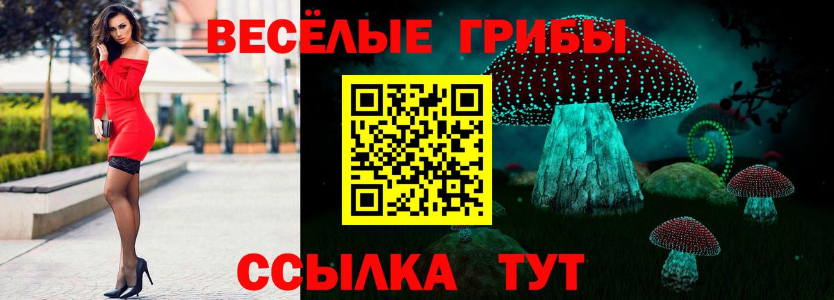 хочу   Галлюциногенные грибы мухоморы  Вход с VPN  Дмитров  Псилоцибиновые грибы мухоморы 