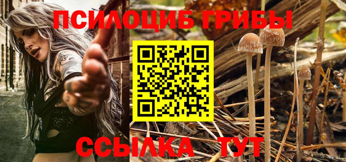 Галлюциногенные грибы MAGIC MUSHROOMS Дмитров